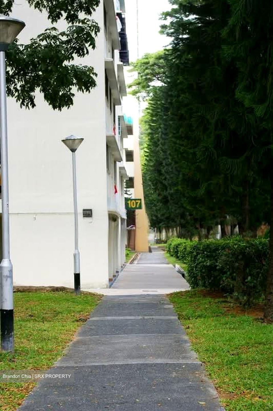 Spottiswoode Park (D2), Apartment #543579531